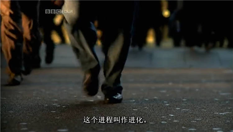 进化