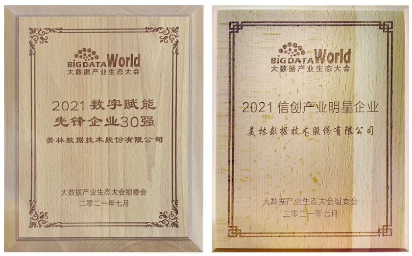 美林数据2021数字赋能先锋企业30强、2021信创产业明星企业奖牌