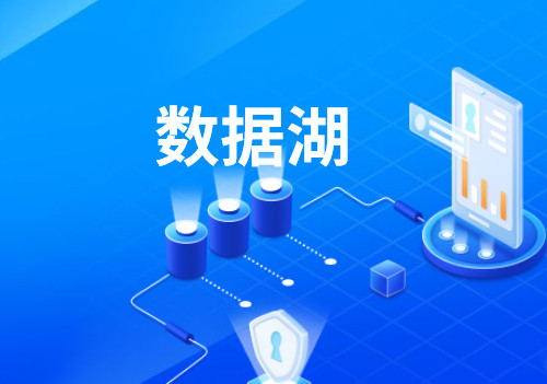 【大数据行业知识分享】什么是数据湖？