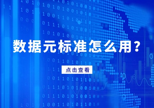 数据标准系列 | 数据元标准怎么用？